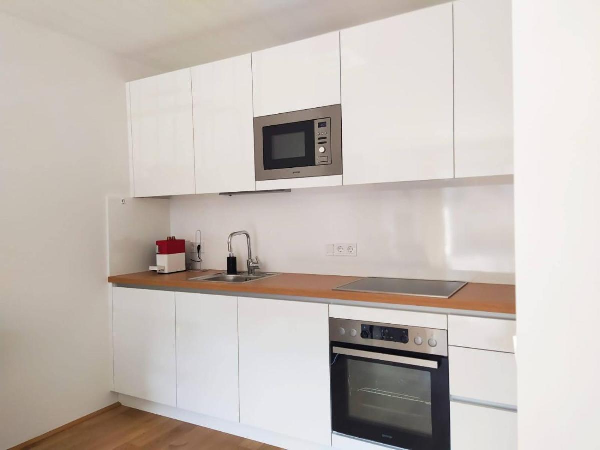 Deluxe Parkapartment Vienna City Center - Free Parking! Экстерьер фото
